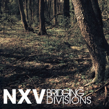 Bridging Divisions cover art