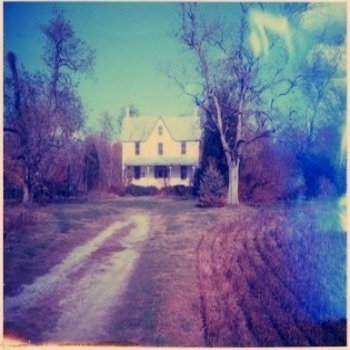 The Salad Days cover art