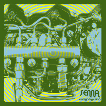 SENNA cover art