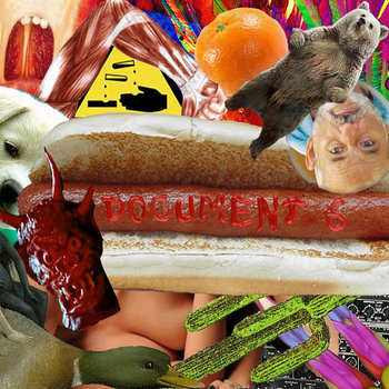 Document 6 cover art