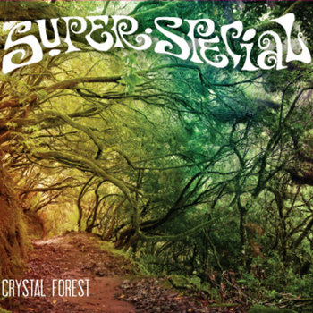 Super Special - Crystal Forest cover art