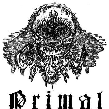 Primal Void cover art