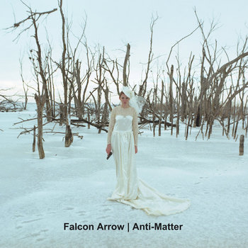 Anti-Matter cover art