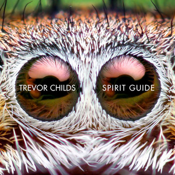Spirit Guide cover art