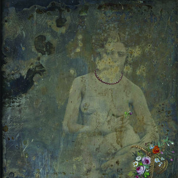 The Sisters of St. Anthony (Subscription Series) cover art