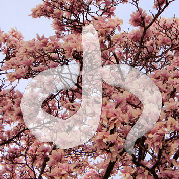 The Life cover art