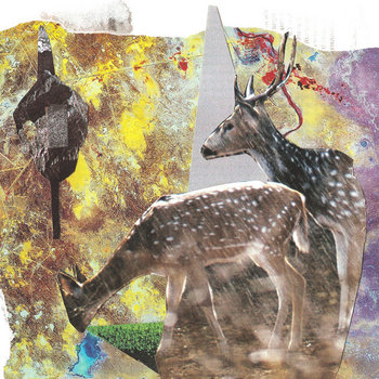 They Came Up From the Hills and Down from the Sound cover art