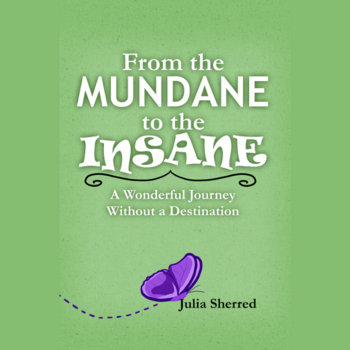 From The Mundane To The Insane: A Wonderful Journey Without A Destination / Audiobook + PDF cover art