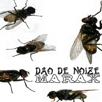 Dao De Noize / Marax cover art