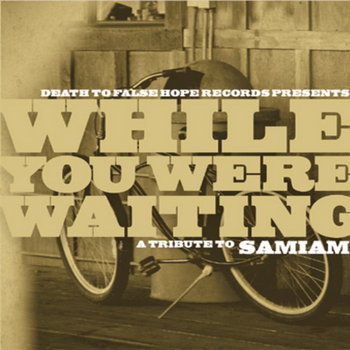 While You Were Waiting: a Tribute to Samiam cover art