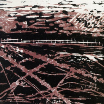 Slate Branches cover art