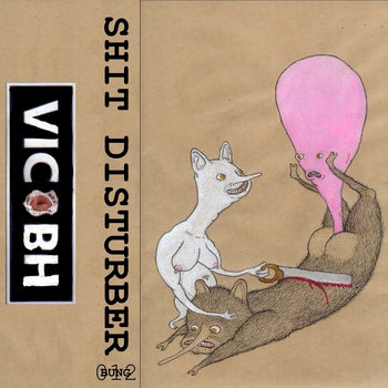 SHIT DISTURBER cover art