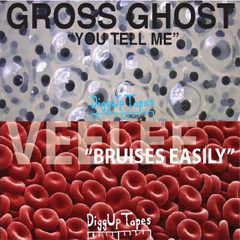 Cassingle DGUP 006 (Gross Ghost/Veelee Split) cover art