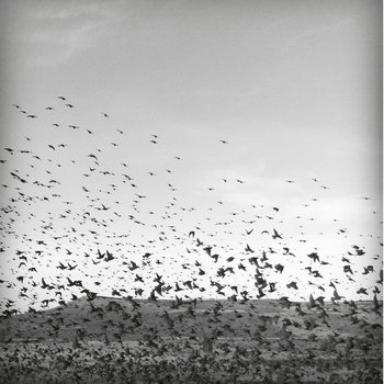 Arcanoid - Migration To Nowhere. SEMANTICA Z cover art