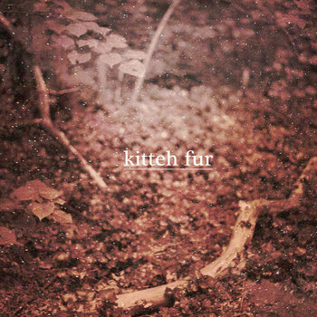 Winter Will Never Come/Bruise digital 7" cover art