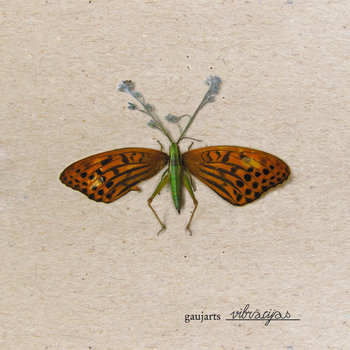 Vibrācijas cover art