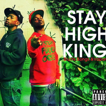 Bluntz, Bongz and Vaporizerz cover art