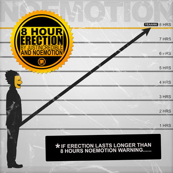 8 Hour Erection cover art