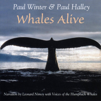 Whales Alive cover art