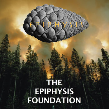 THE EPIPHYSIS FOUNDATION cover art