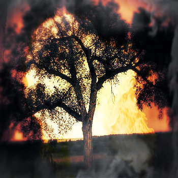 Blood Meridian For Electric Drone Guitar XV-XVII cover art