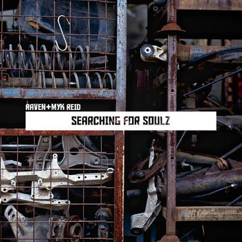 Searching for Soulz cover art