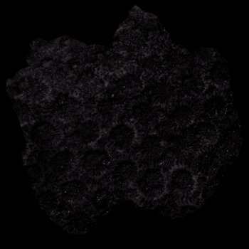 devastated cover art
