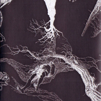 Perennis cover art