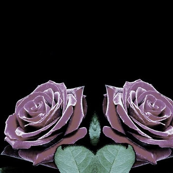 The Bittersweet EP cover art